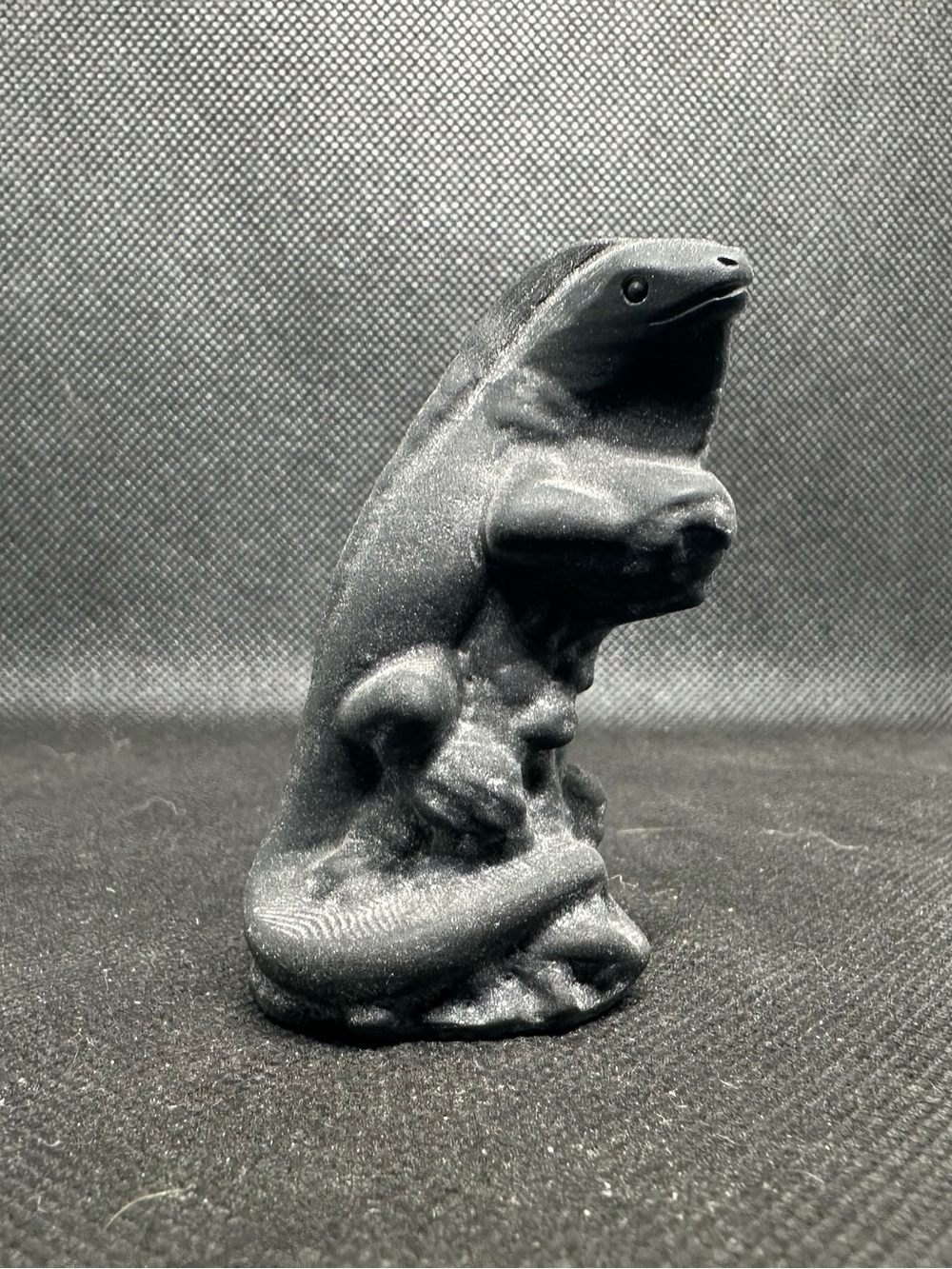 Obsidian iguana